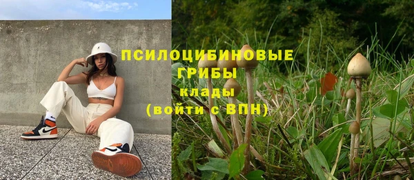 героин Каменка