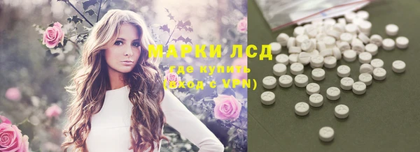 ECSTASY Каменногорск