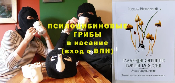 ECSTASY Каменногорск