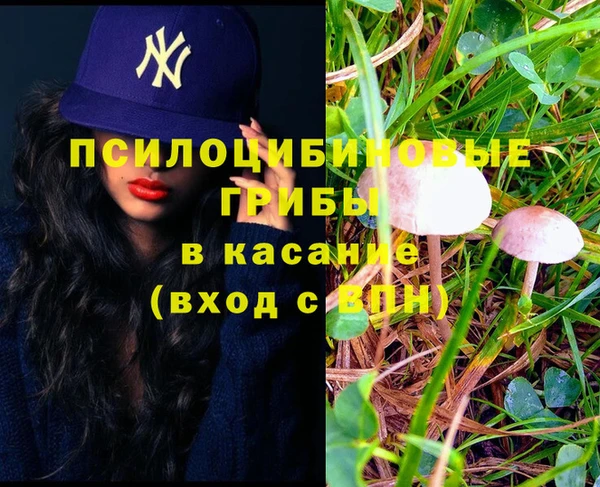героин Каменка